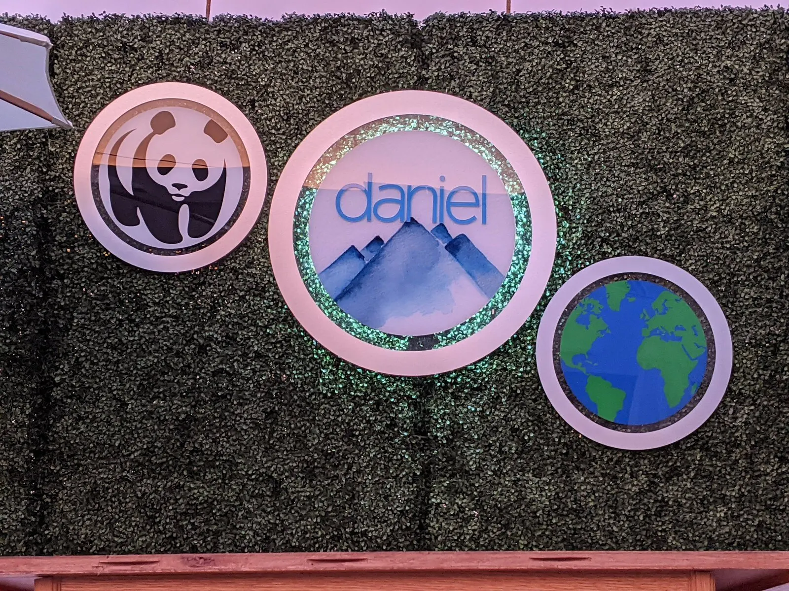 Printed circles mounted on artificial hedge.